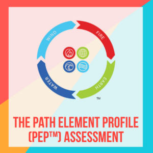 The Path Element Profile (PEP™) Assessment