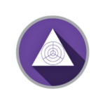 Actualized Leader Profile (ALP)